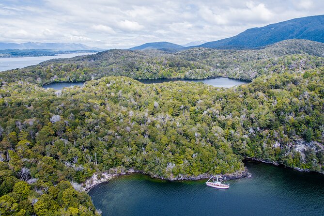 Scenic Cruise & Guided Walk on Historic Motor Yacht Lake Te Anau - Afternoon tea on the historic yacht: more than a snack break