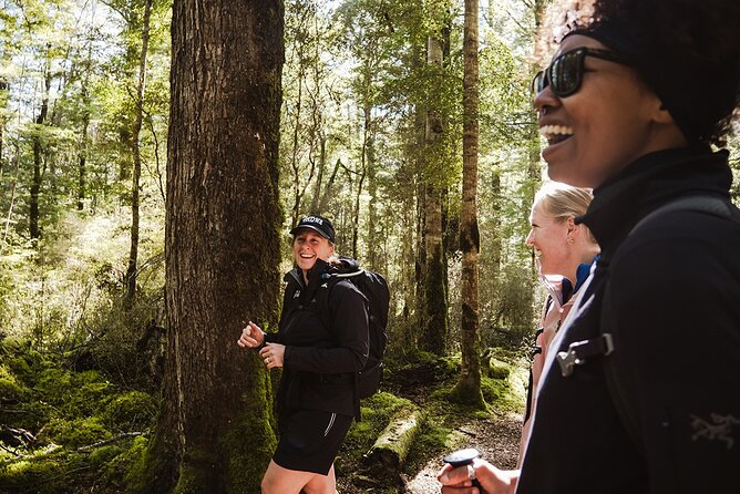 Scenic Helicopter & Kepler Guided Hike from Te Anau with Lunch - Timing and logistics: what the 8-hour day actually means