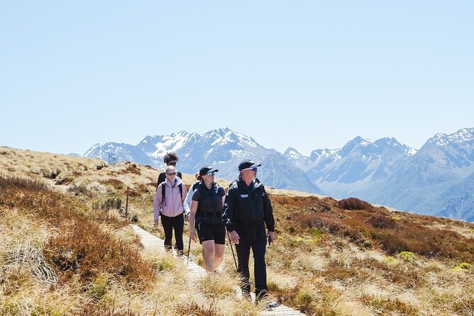 Scenic Helicopter & Kepler Guided Hike from Te Anau with Lunch - Mt. Maury landing and the Luxmore Hut start: where the hike clicks