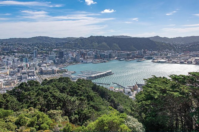 Scenic Wellington Helicopter Flight - Final call: should you book it?