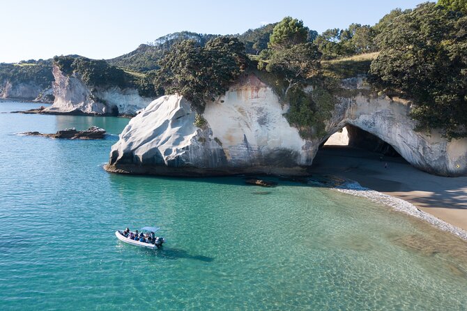 Sea Cave Adventures in the Coromandel - Seasonal wildlife sightings add surprise to the route