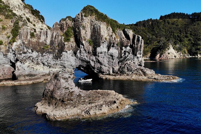 Sea Cave Adventures in the Coromandel - Guide Ash: the difference between seeing rocks and understanding them