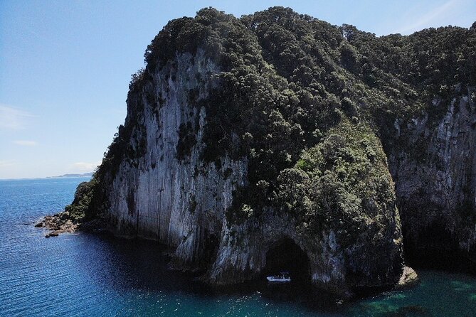 Sea Cave Adventures in the Coromandel - Price and value: what $93 buys you in real terms