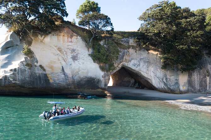 Sea Cave Adventures in Whitianga - Key Points at a Glance