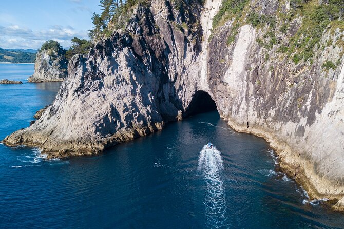 Sea Cave Adventures in Whitianga - Wildlife on Land and at Sea, Plus the Little Signs to Watch