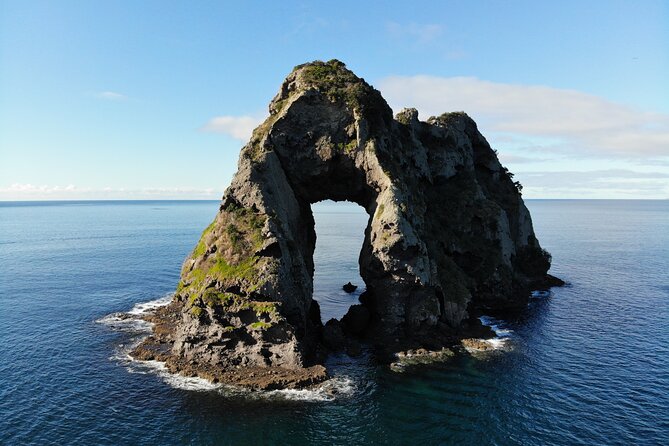 Sea Cave Adventures in Whitianga - Price and Value: Why $87 Can Make Sense Here