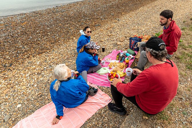 Sea Kayaking Christchurch, Lyttelton Harbour & Quail Island - Picnic lunch on the beach: the best kind of break