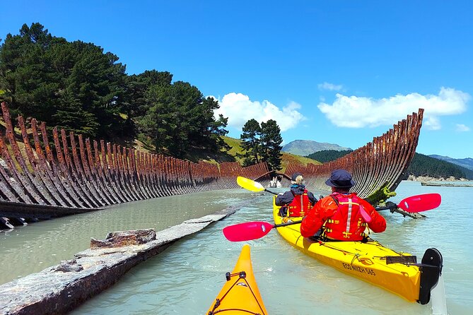 Sea Kayaking Christchurch, Lyttelton Harbour & Quail Island - Transport plus included gear: where the value shows up