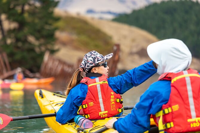 Sea Kayaking Christchurch, Lyttelton Harbour & Quail Island - Timing matters: what your day looks like hour by hour