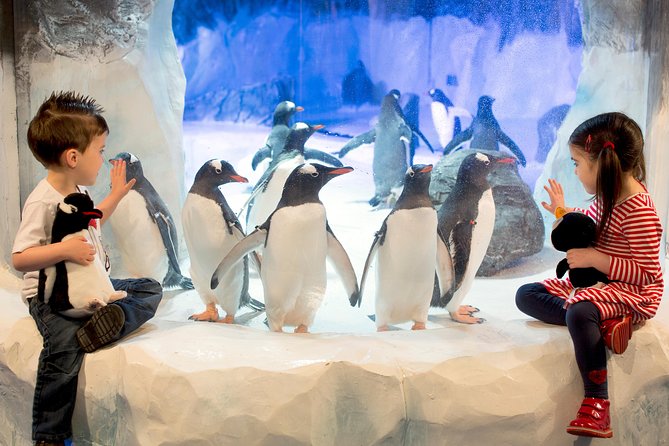 SEA LIFE Kelly Tarlton's General Admission - Key things to know before you go