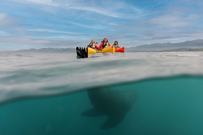 Seal Kayaking Adventure in Kaikoura - Sunset and special seal spotting tours, and what changes on the water