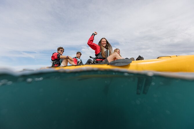 Seal Kayaking Adventure in Kaikoura - Safety, stability, and the fitness level reality check