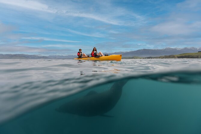 Seal Kayaking Adventure in Kaikoura - Start at 18 Beach Road, then learn the foot pedal rhythm