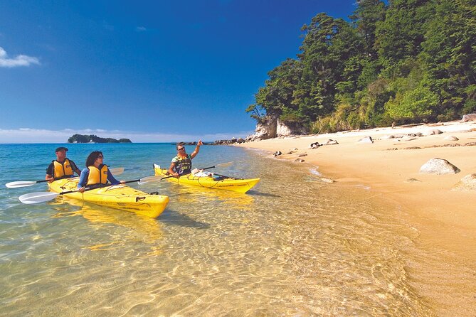 Seal Sanctuary Tour - Guided Kayaking - New Zealand - Marahau morning logistics, self-drive reality, and what to plan