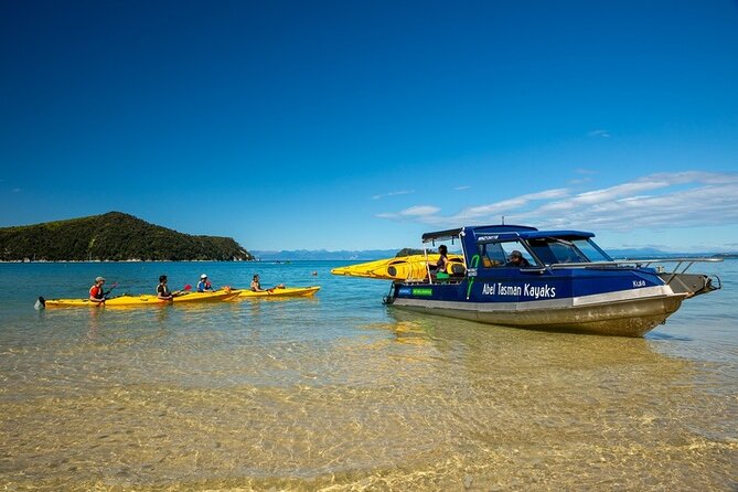 Seal Sanctuary Tour - Guided Kayaking - New Zealand - Timing, group size, and how the tour keeps moving