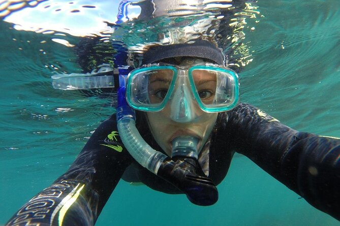 Seal Swimming Tour from Kaikoura - Gear, wetsuits, snorkels, and hot showers (this is real value)