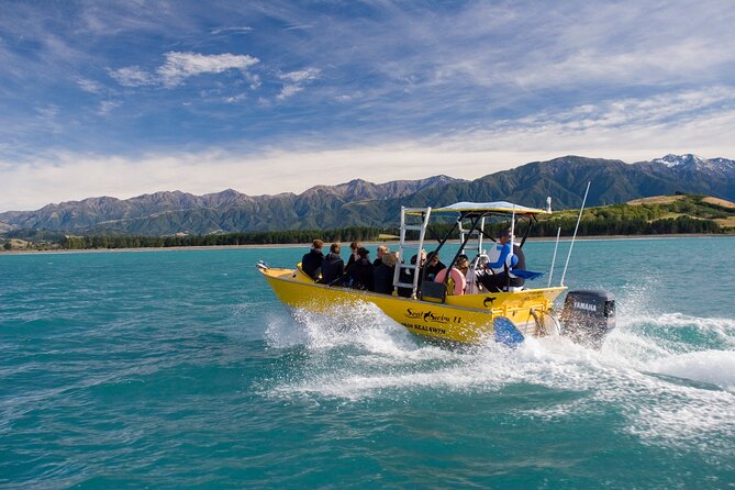 Seal Swimming Tour from Kaikoura - Meeting at Gooches Beach Playground and the 2.5-hour flow