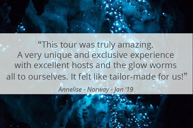 See Auckland's Secret Glow Worms - Auckland after dark, minus the city noise
