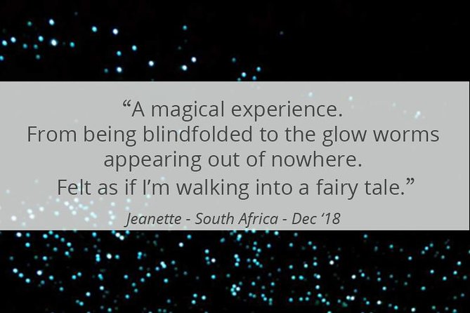 See Auckland's Secret Glow Worms - The short van ride that sets the mood