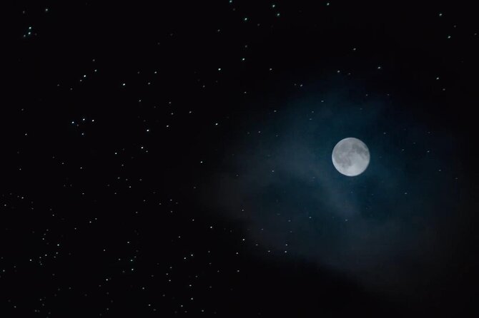 See Auckland's Secret Glow Worms - What you might see beyond glow worms