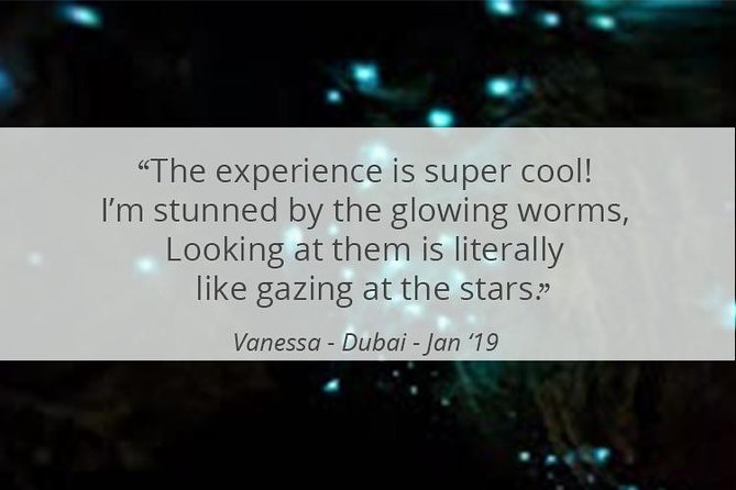 See Auckland's Secret Glow Worms - What to wear and bring for a smooth night