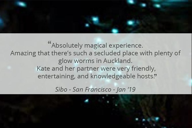 See Auckland's Secret Glow Worms - The overall experience: small details that matter