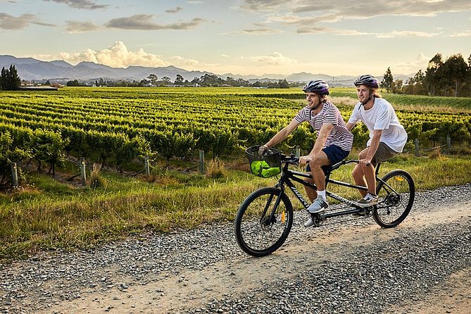 Self-Guided Biking Wine Tour (full day) in the Marlborough Region. - Tastings, bottle service, and the 18+ rule
