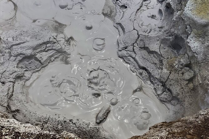 Self-Guided Geothermal Tour in Orakei Korako - Key highlights you will care about