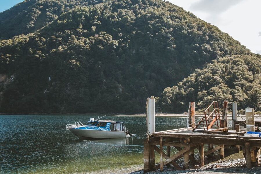 Self-Guided Milford Track Day Walk from Lake Te Anau - Price and value: what $80 buys you in Milford style
