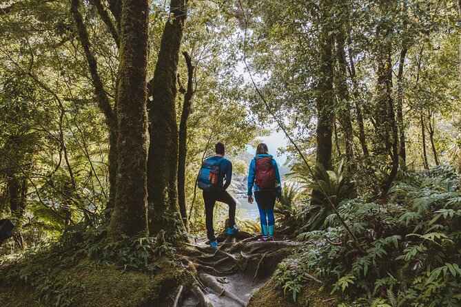 Self-Guided Milford Track Day Walk - Milford Sound - What to Pack: The Small Stuff That Saves Your Ankles