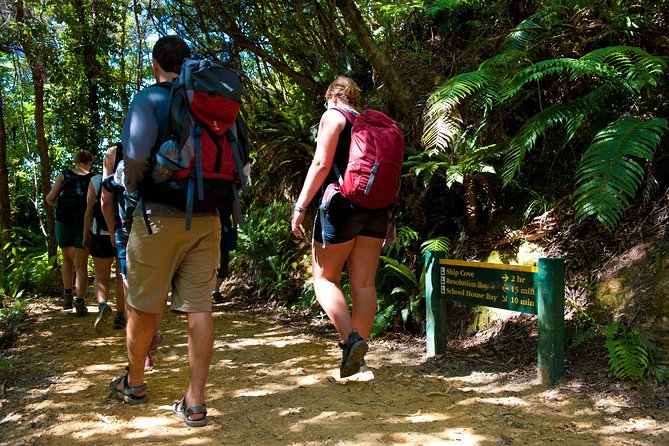 Self-Guided Queen Charlotte Track Walk from Picton - Queen Charlotte Track on a half-day mission? It feels like a full day