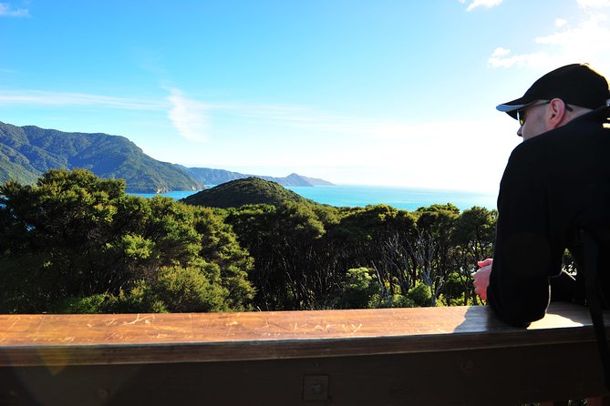 Self-Guided Queen Charlotte Track Walk from Picton - Self-guided means you set your pace, not your schedule
