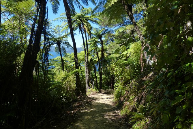 Self-Guided Queen Charlotte Track Walk from Picton - What to eat and drink: plan for snacks, not a full meal