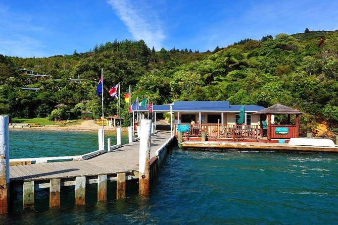 Self-Guided Queen Charlotte Track Walk from Picton - Weather and water conditions: rain changes the track, but you can still enjoy it