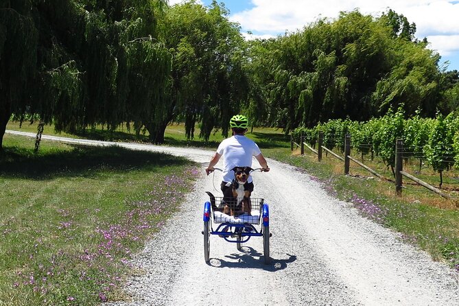 Self-Guided Wine Tours by Bike with Lorelle & Greg - The bikes, the safety basics, and the wine-carrying system