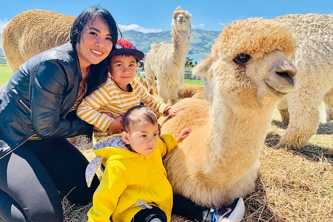 Shamarra Alpaca Farm Tours - Quick highlights you can plan around