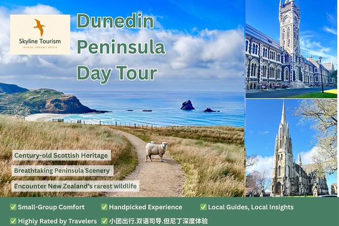Shared Small Group Dunedin City and Peninsula Scenery Day Tour - Why This 6-Hour Small-Group Format Works So Well