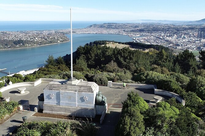 Shared Small Group Dunedin City and Peninsula Scenery Day Tour - Baldwin Street and the University Clock Tower, Two Icon Stops