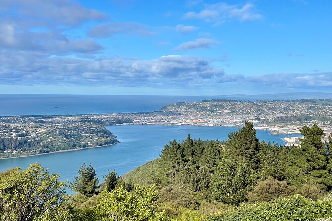Shared Small Group Dunedin City and Peninsula Scenery Day Tour - Returning via the Coastal Route, Plus a City Drop-Off Option