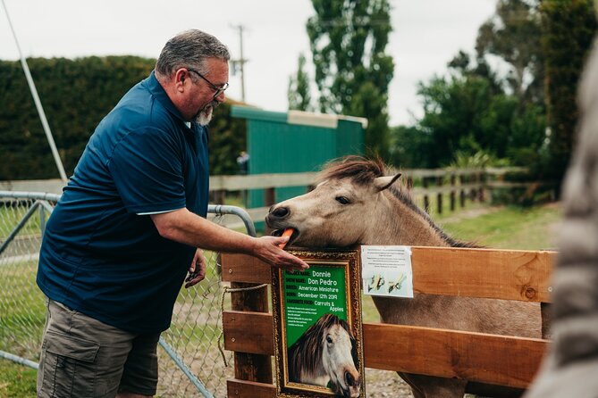 Sheep Farm Day Trip from Christchurch + Lunch and Winery visit. - Price and value: what $183.07 really buys