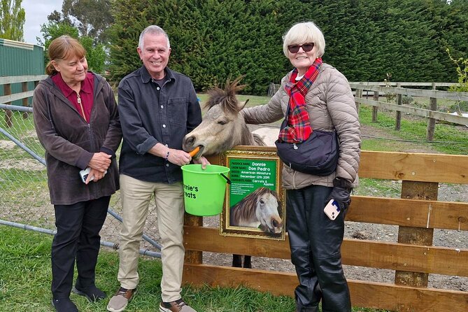 Sheep Farm Day Trip from Christchurch + Lunch and Winery visit. - Who this trip is best for