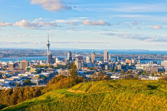 Sheep Shearing and Auckland City Highlights Tour with Lunch - Coastal Breaks and “Look Here” Stops You Can Actually Use