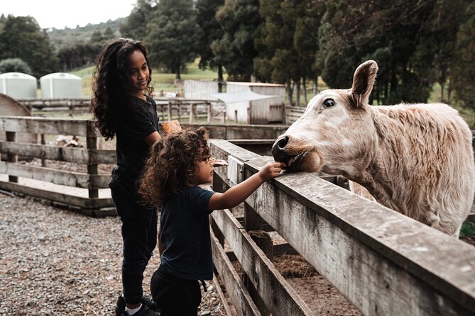 Sheep Shearing and Auckland City Highlights Tour with Lunch - Gardens and Neighborhood Drives, The Softer Side of Auckland