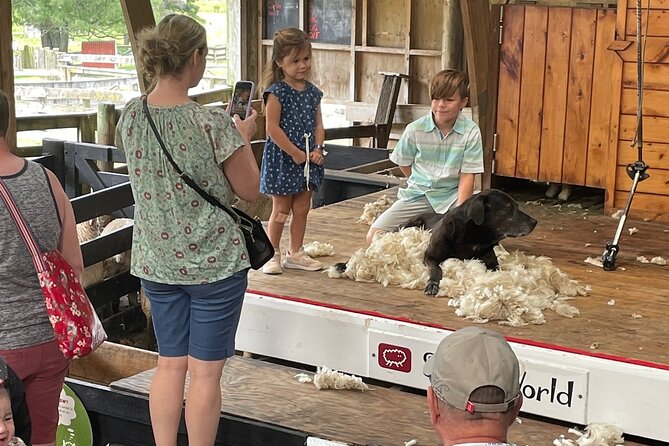 Sheep World Country Tour from Auckland - Who should book this Auckland sheep tour, and who should skip it