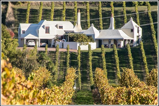 Shore Excursion: 4-Hour Discover Hawkes Bay and Napier Tour - Te Mata Peak: a 360-degree view from 399 meters