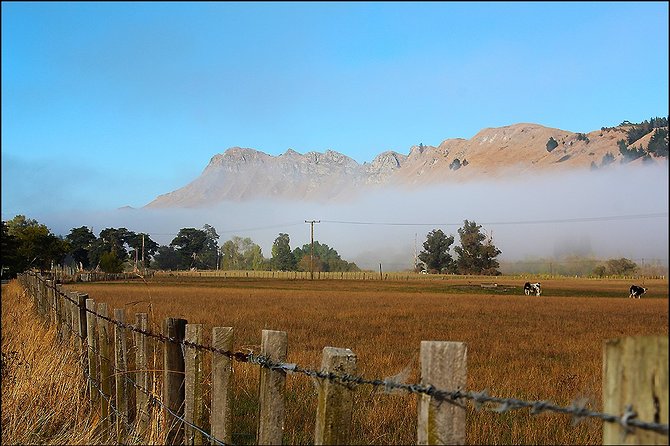 Shore Excursion: 4-Hour Discover Hawkes Bay and Napier Tour - Price and logistics: does $83.78 feel fair?