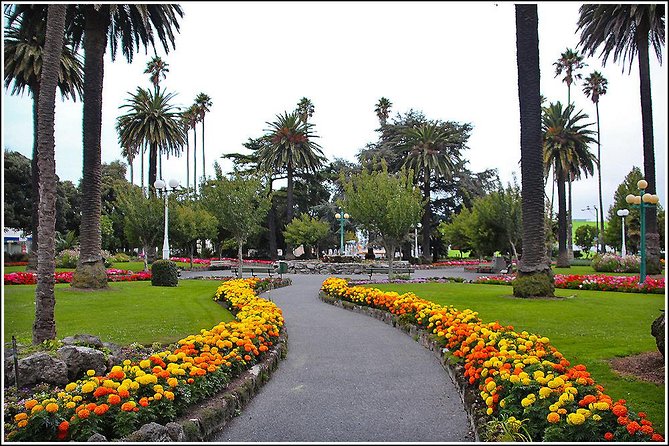 Shore Excursion: 4-Hour Discover Hawkes Bay and Napier Tour - Comfort and pacing tips that make or break the day