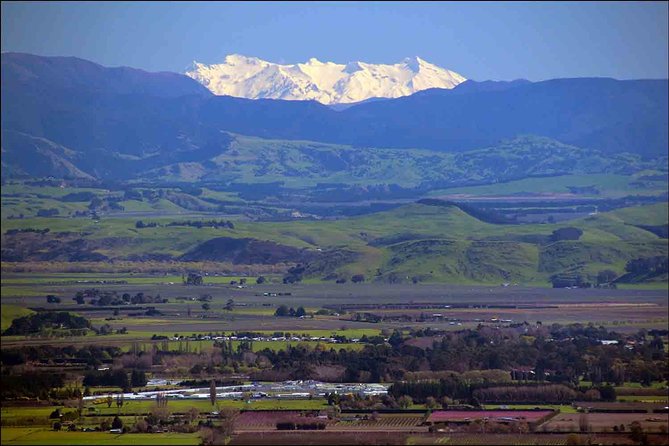 Shore Excursion: 4-Hour Discover Hawkes Bay and Napier Tour - Should you book the Discover Hawke’s Bay and Napier Tour?