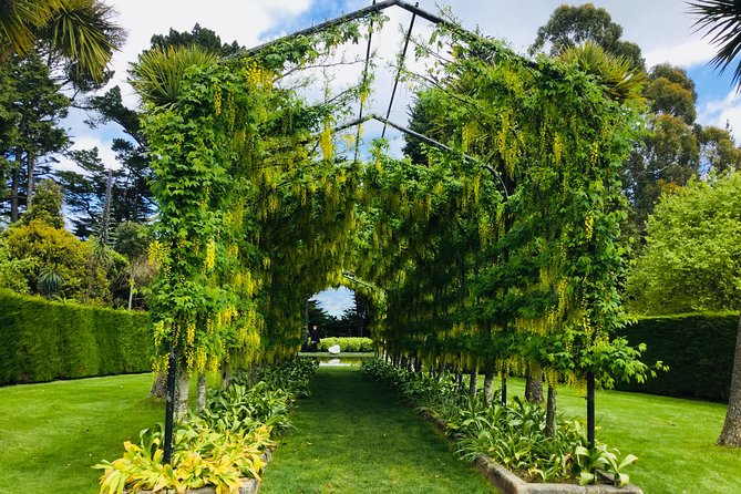 Shore Excursion: Dunedin City, Otago Peninsula, Castle Gardens & Olveston Tour - Otago Peninsula Drive and Larnach Castle Gardens Timing