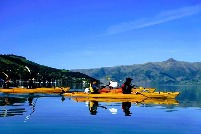Shore Excursion Guided Sea Kayaking through Akaroa Marine Reserve - Key Things I’d Book This For